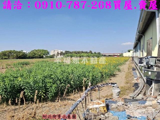 台南農地-5