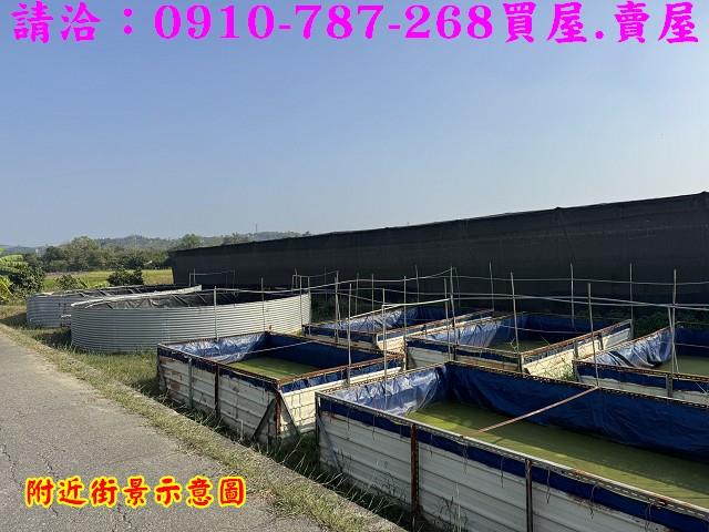 台南柳營農地-11