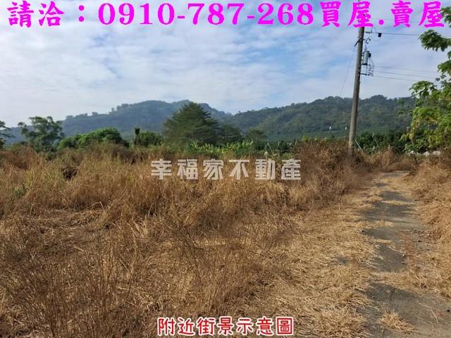 台南楠西農地-0