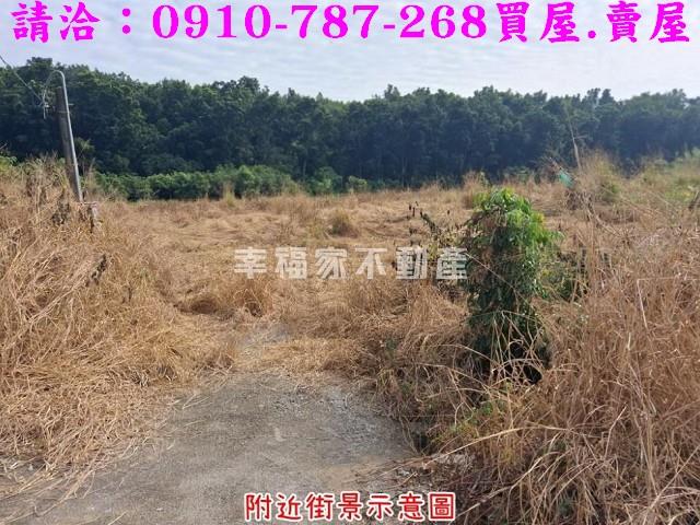 台南楠西農地-1