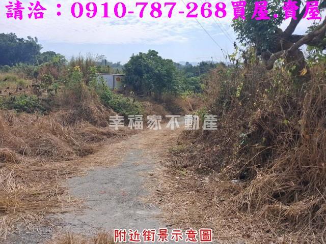 台南楠西農地-2