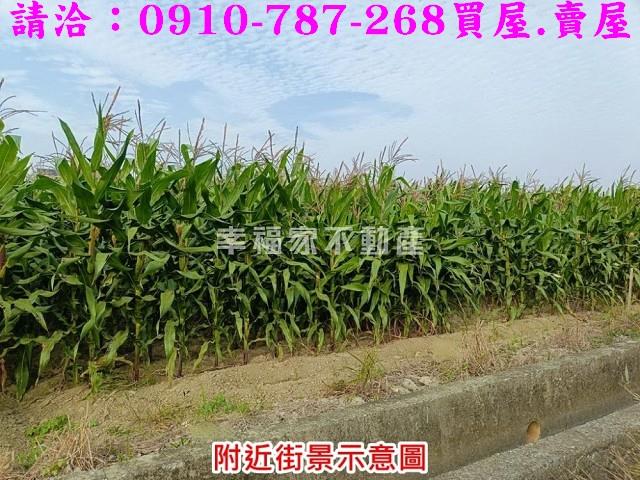 台南西港農地-3