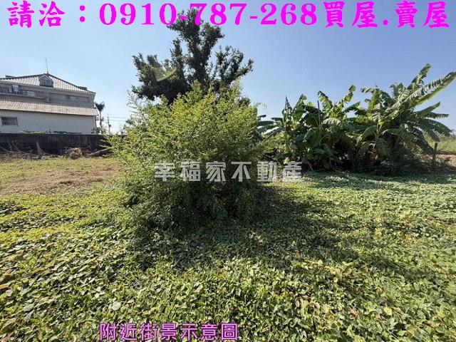 台南鹽水建地-10