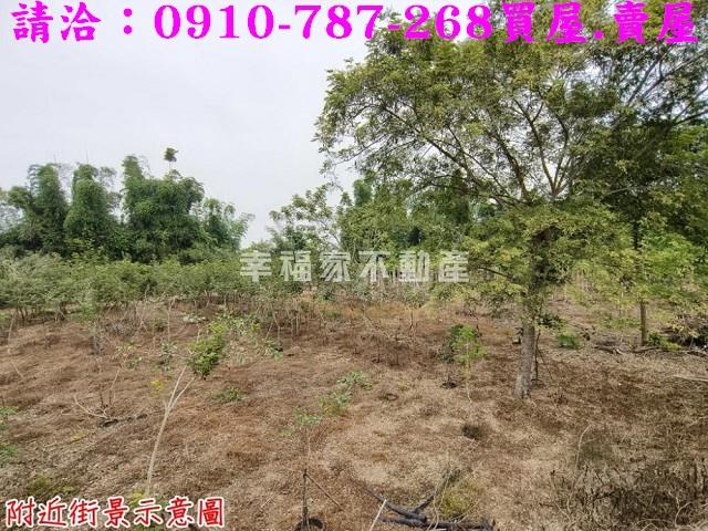 台南新市農地-10