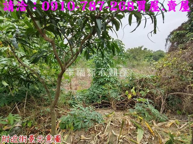 台南新市農地-11