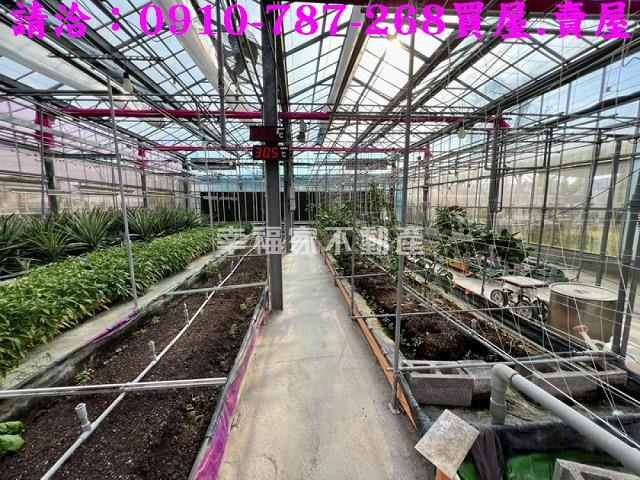 台南楠西農地-14