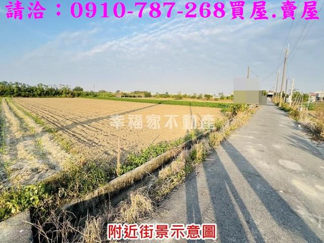 安定農地-5