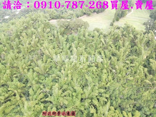 高雄大社農地-9