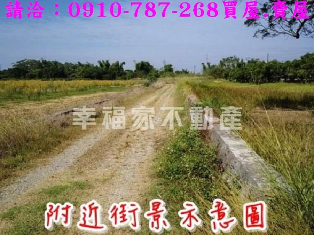 台南新市農地-14