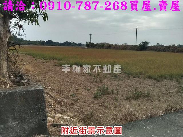 台南官田農地-4