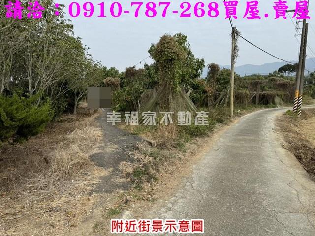 台南楠西農地-1