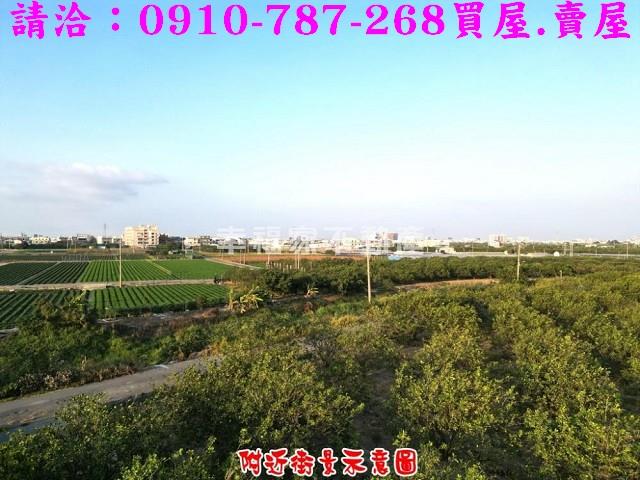 台南農地-2