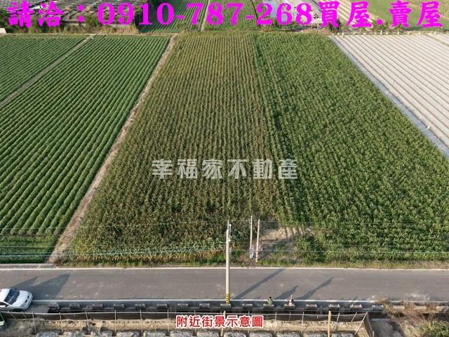 柳營農地-2