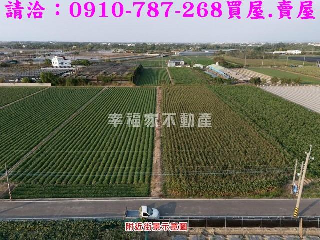 柳營農地-7