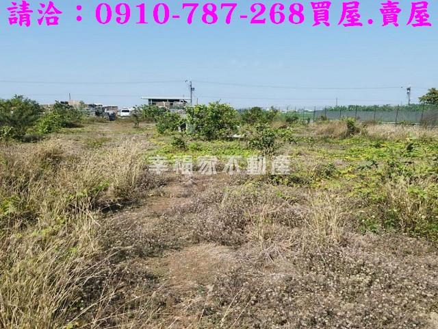 台南農地-9