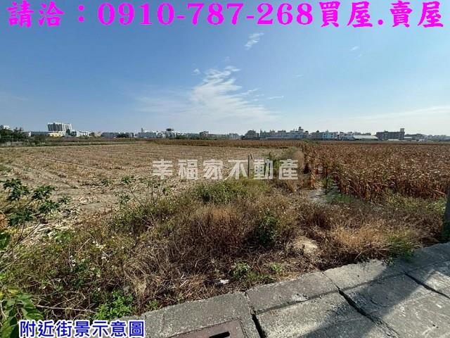 台南佳里農地-5