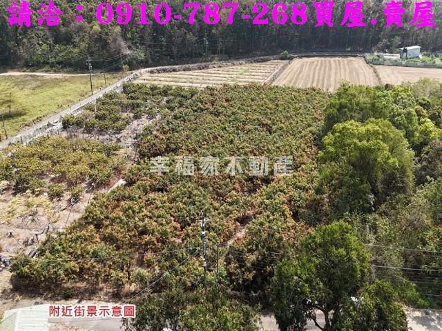 台南官田農地-12