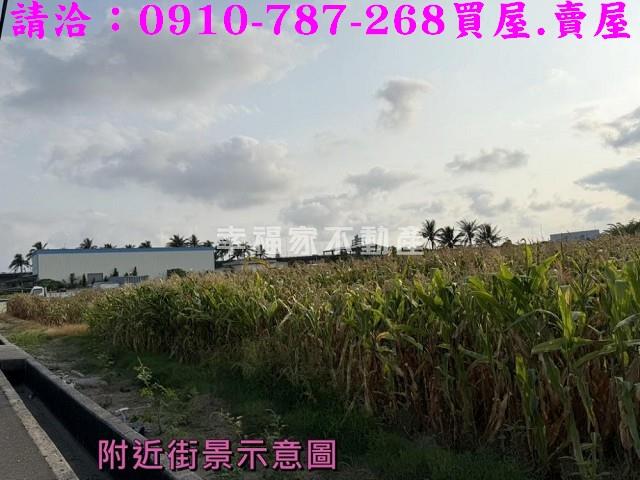 台南安定農地-13