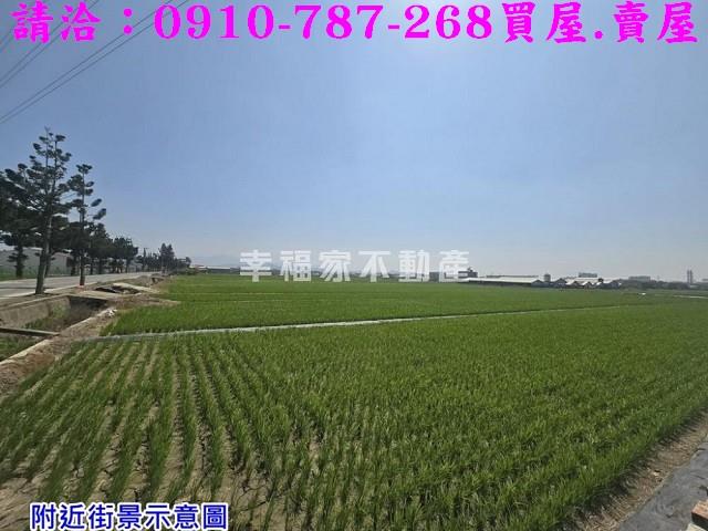 台南柳營農地-3