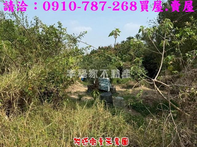 台南新市農地-3