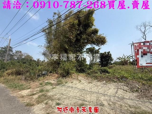 台南新市農地-4