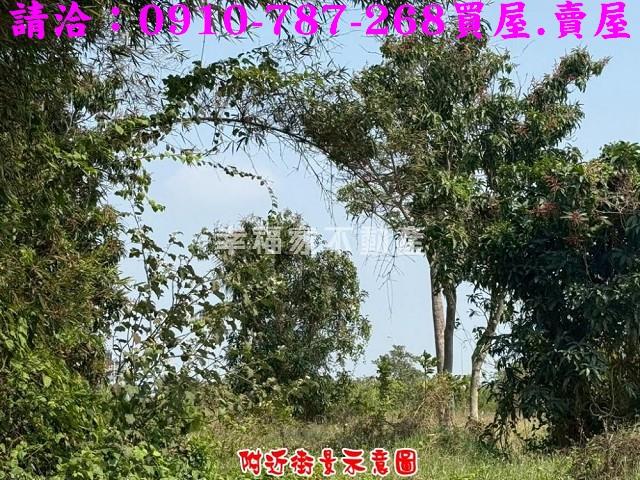 台南新市農地-6