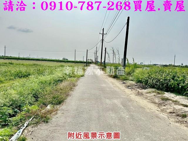 台南善化農地-0