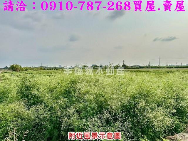 台南善化農地-3