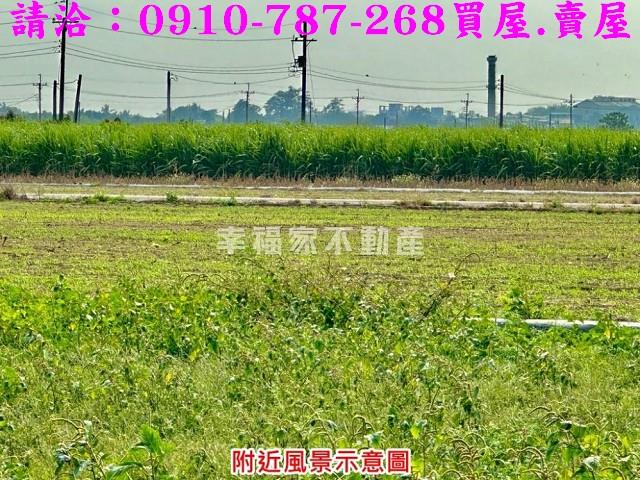 台南善化農地-8