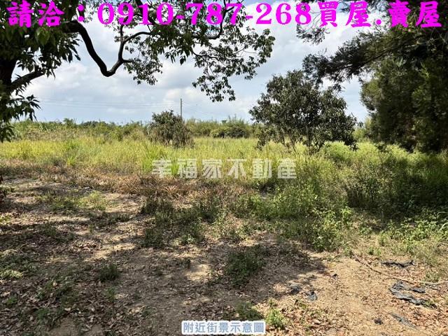 台南關廟農地-9