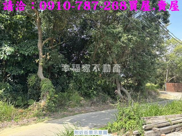 台南關廟農地-11