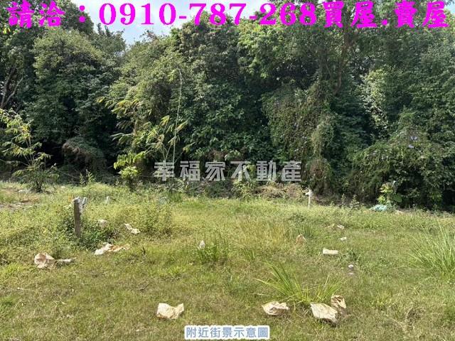 台南關廟農地-3