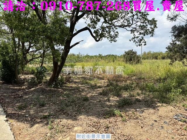 台南關廟農地-8