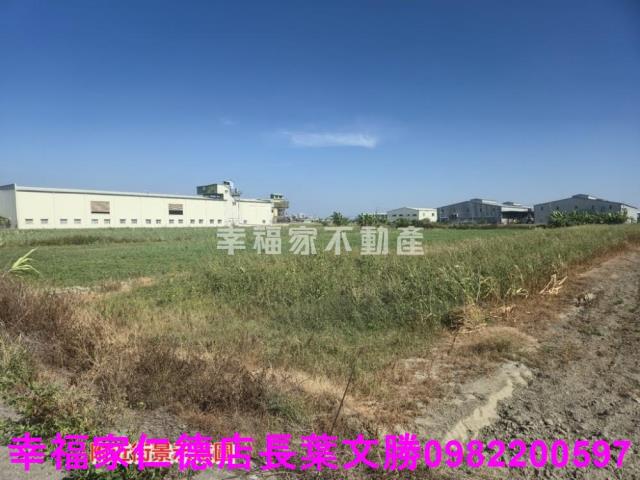 安定農地-11