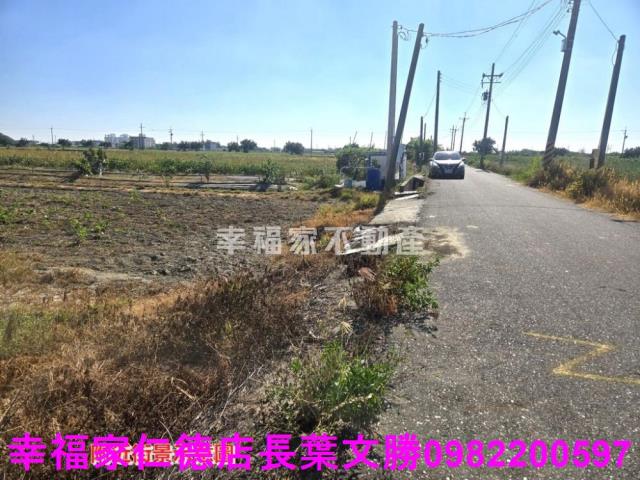 安定農地-1