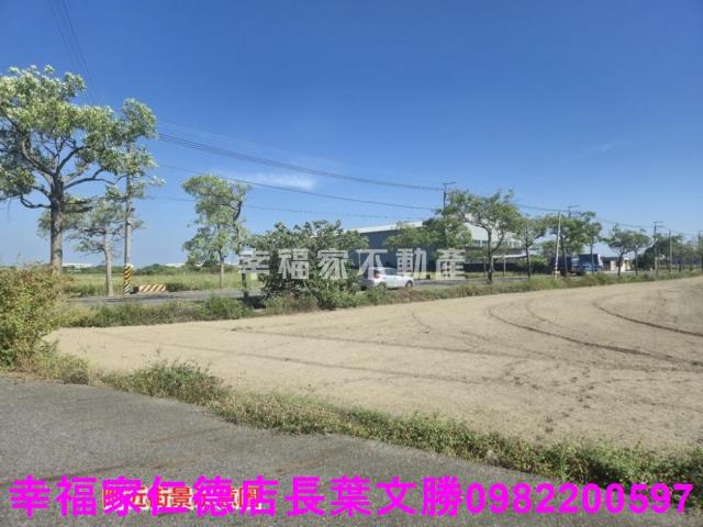 安定農地-4