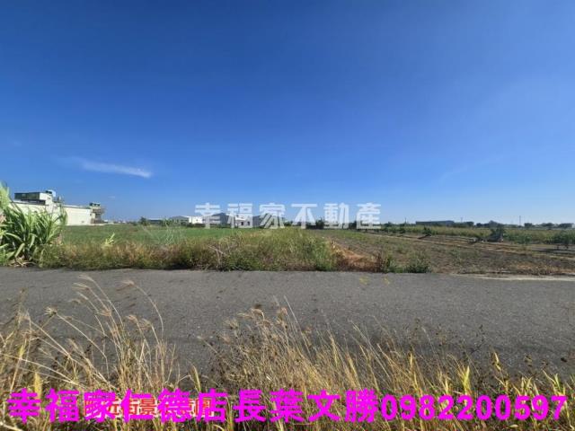 安定農地-6