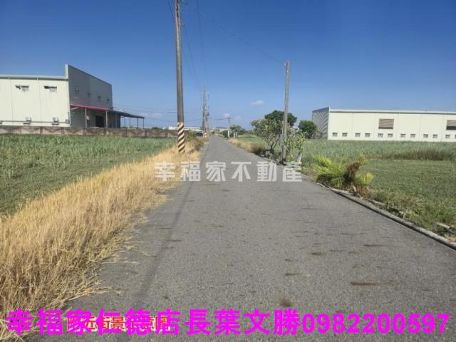 安定農地-7