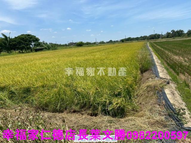 官田農地-14