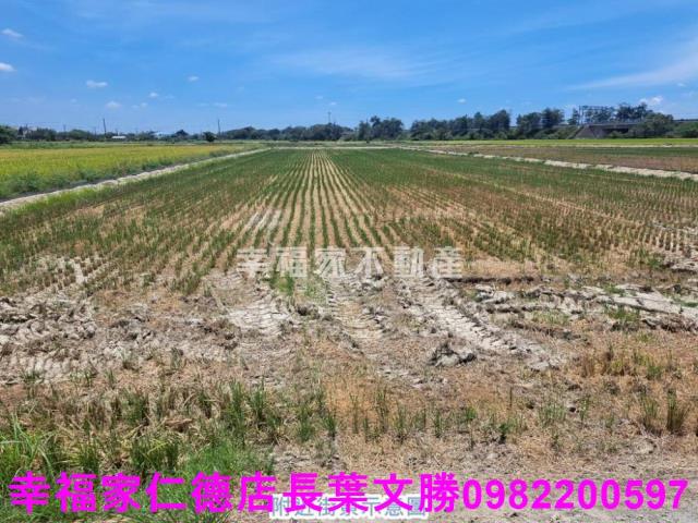 官田農地-0