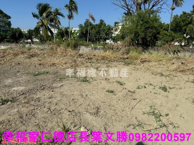 仁德農地-9