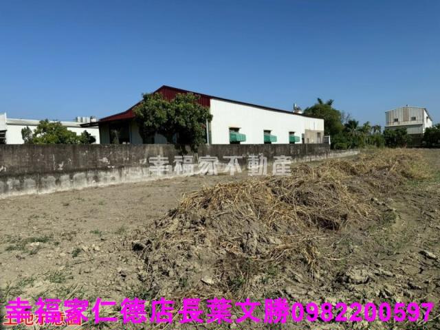 仁德農地-11