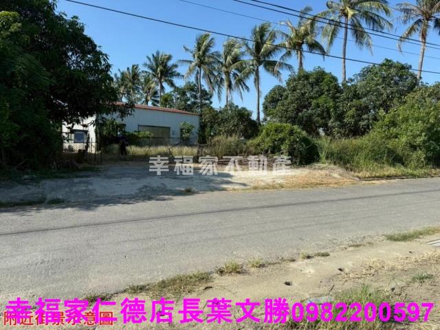 仁德農地-13