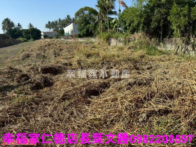 仁德農地-20