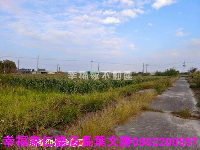台南農地-25