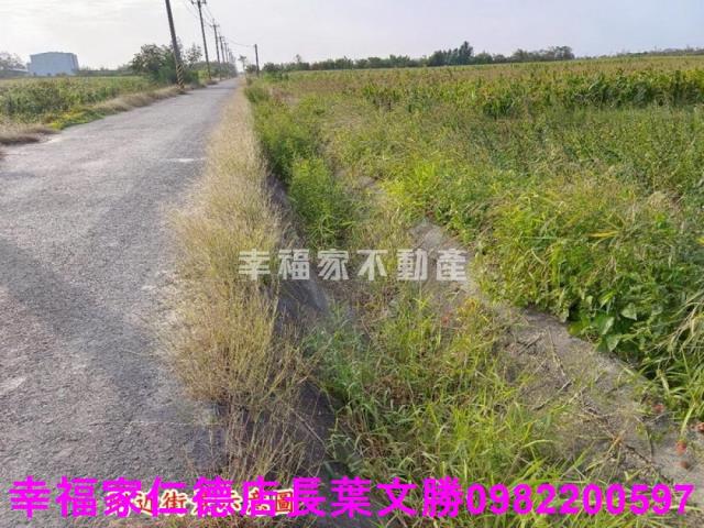 台南農地-5