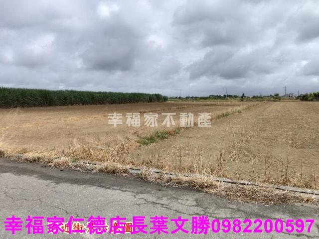 佳里農地-19