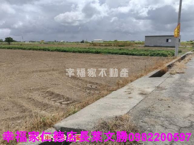 佳里農地-24