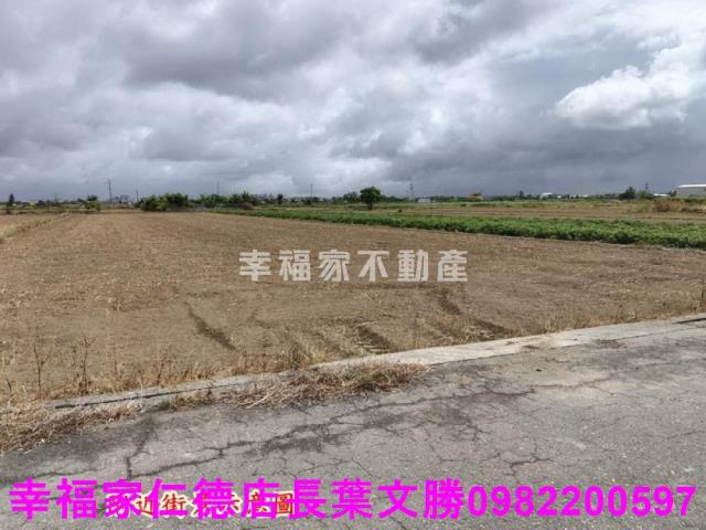 佳里農地-2
