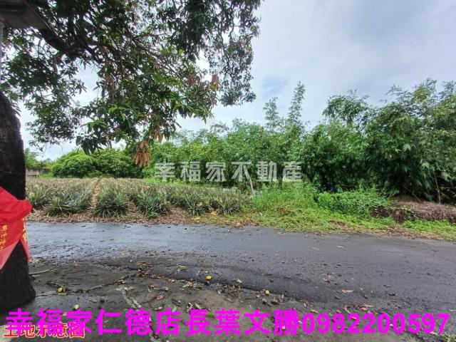 歸仁農地-10